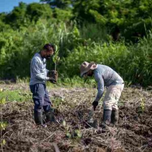WWF Employment Opportunities